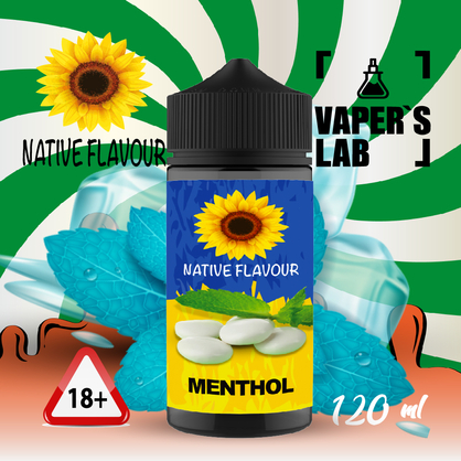 Фото жижа для вейпа до 120 грн native flavour menthol 120 ml
