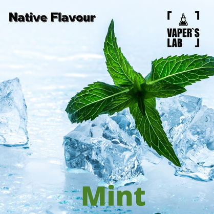 Фото, Відеоогляди на Набір для самозамісу Native Flavour "Mint" 30мл 