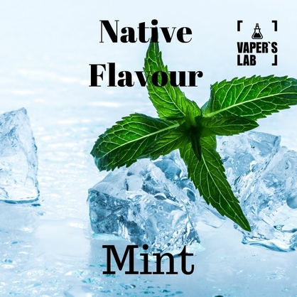 Фото, Відео на Жижи для вейпа Native Flavour Mint 100 ml