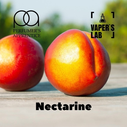 Фото, Відеоогляди на Аромки для самозамісу TPA "Nectarine" (Нектарин) 