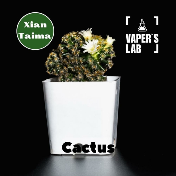 Відгуки на ароматизатор для самозамісу Xi'an Taima "Cactus" (Кактус) 