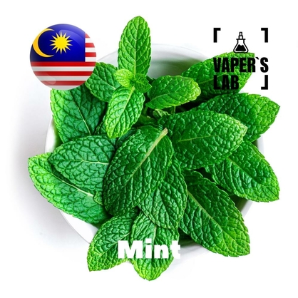 Фото, Відеоогляди на Ароматизатор Malaysia flavors Mint