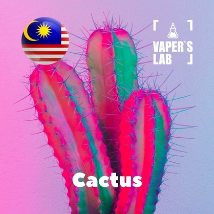 Фото на Аромки для вейпа для вейпа Malaysia flavors Cactus