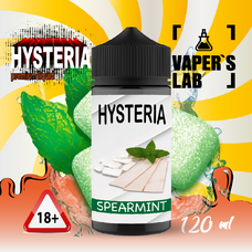 Рідина для електронних сигарет без нікотину Hysteria Spearmint 100 ml