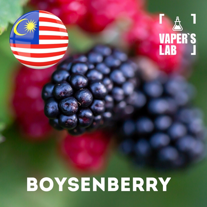Фото на Ароматизаторы для вейпа Malaysia flavors Boysenberry