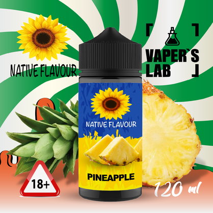 Фото рідина для вейпа купити native flavour pineapple 120 ml