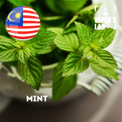 Фото, Відеоогляди на Ароматизатор Malaysia flavors Mint