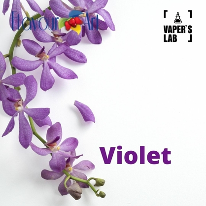 Фото, Відеоогляди на Аромку для вейпа FlavourArt Violet Фіалка - [FlavourArt]