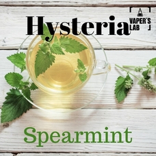 Купить жидкость для вейпа Hysteria Spearmint 100 ml