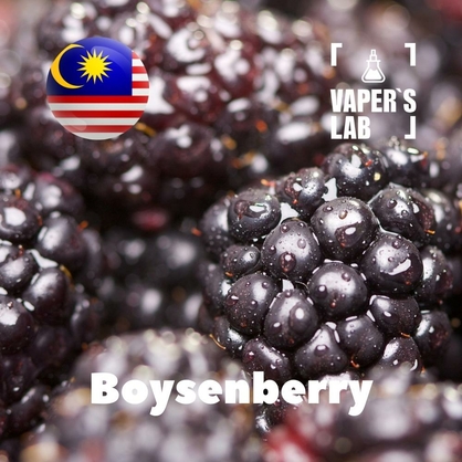 Фото, Відеоогляди на Аромки для вейпа Malaysia flavors Boysenberry