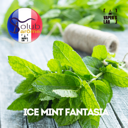Фото, Відеоогляди на Ароматизатори для сольового нікотину Solub Arome "Ice mint fantasia" (М'ята ментол та кулер) 