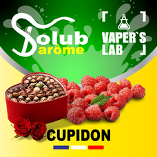 Натуральные ароматизаторы для вейпов Solub Arome Cupidon Шоколадная конфета с малиной