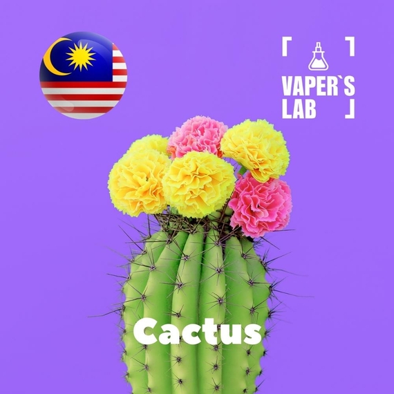 Відгуки на Аромки для вейпа Malaysia flavors Cactus