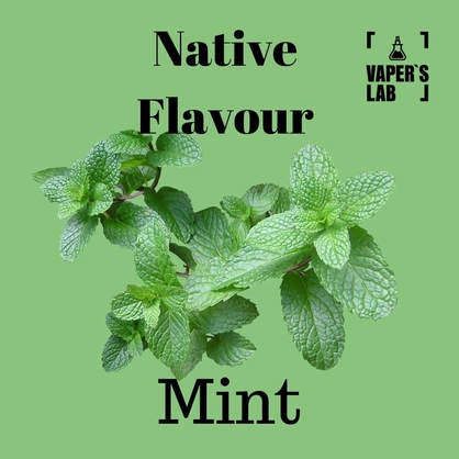 Фото, Відео на Жижи для вейпа Native Flavour Mint 100 ml