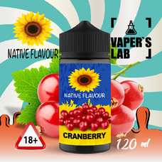  Native Flavour cranberry 120