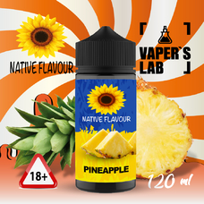 Жижа Native Flavour Pineapple 120 ml