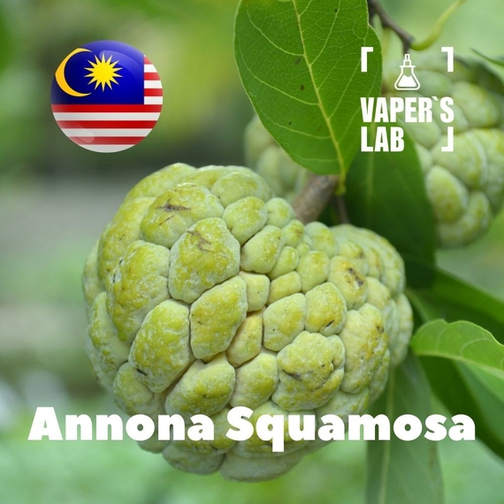 Отзывы на аромку Malaysia flavors Annona squamosa