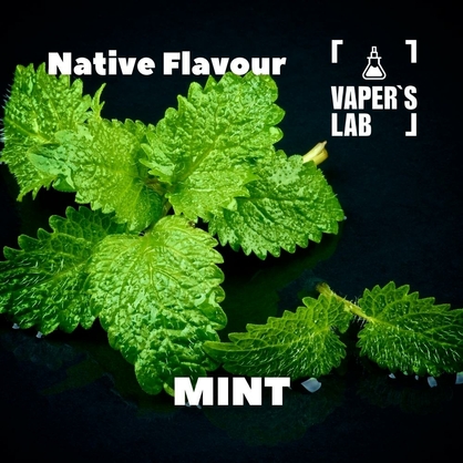 Фото, Відеоогляди на Набір для самозамісу Native Flavour "Mint" 30мл 