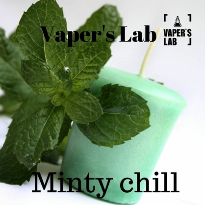Фото купити рідину для вейпа без нікотину vapers lab minty chill 120 ml