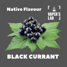 Ароматизатори для вейпа Native Flavour "Black Currant" 30мл