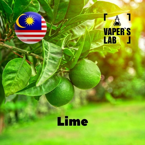 Отзывы на аромку Malaysia flavors Lime