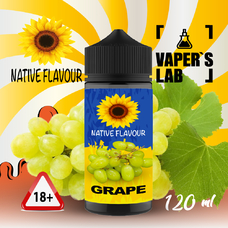 Жидкости для вейпа Native Flavour Grape 120