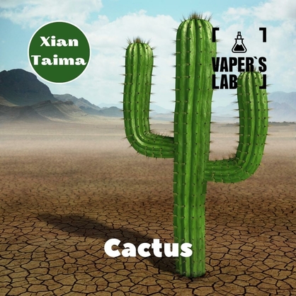 Фото, Відеоогляди на Ароматизатори для сольового нікотину Xi'an Taima "Cactus" (Кактус) 