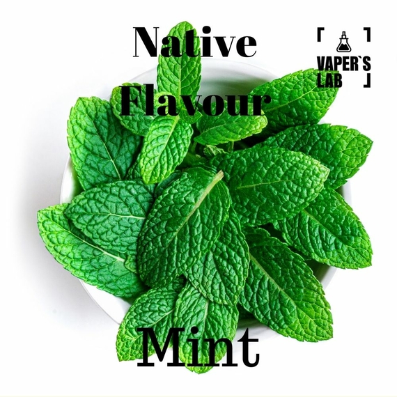Отзывы на Заправку для вейпа Native Flavour Mint 100 ml