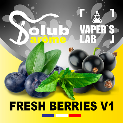 Фото, Відеоогляди на Найкращі ароматизатори для вейпа Solub Arome "Fresh Berries v1" (Чорниця смородина м'ята ментол) 