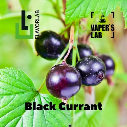 Фото на Ароматизаторы для вейпа Flavor Lab Black Currant 10 мл