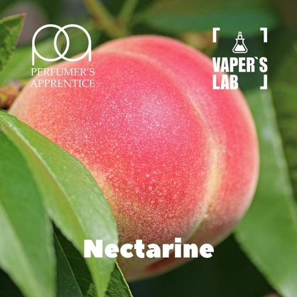 Фото, Відеоогляди на Аромки для самозамісу TPA "Nectarine" (Нектарин) 