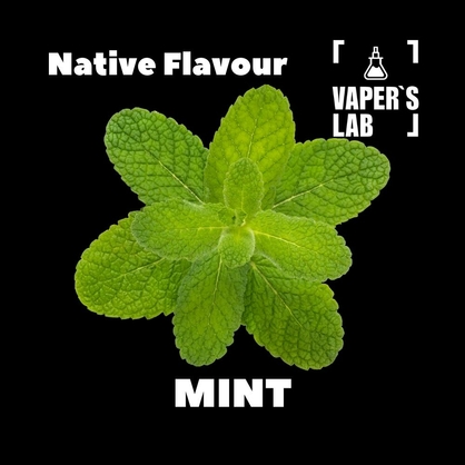 Фото для Аромки Native Flavour Mint 30мл