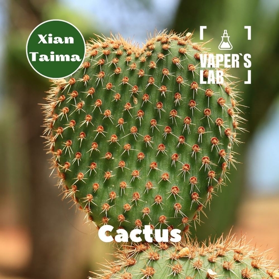 Отзывы на Компоненты для самозамеса Xi'an Taima "Cactus" (Кактус) 