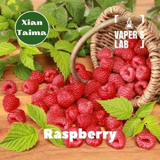  Xi'an Taima "Raspberry" (Малина)