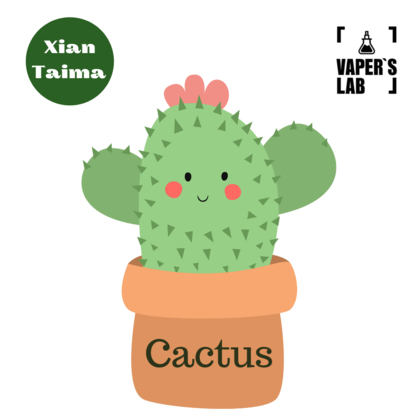 Фото, Видео, Ароматизаторы вкуса Xi'an Taima "Cactus" (Кактус) 
