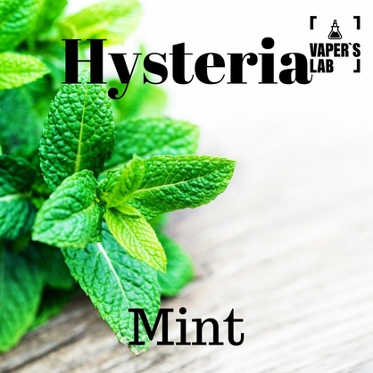 Фото, Видео на жижки Hysteria Mint 100 ml