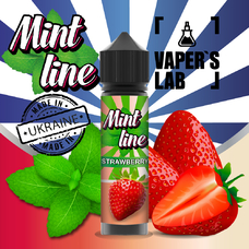 Рідини для електронних сигарет Mint Strawberry 60 ml