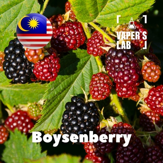 Отзывы на аромку Malaysia flavors Boysenberry