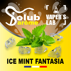 Премиум ароматизаторы для электронных сигарет Solub Arome Ice mint fantasia Мята ментол и куллер