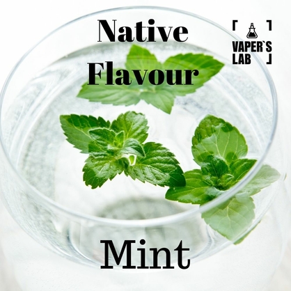 Фото жижа для вейпа купити дешево native flavour mint 120 ml