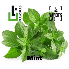 Flavour LAB Flavor Mint 10