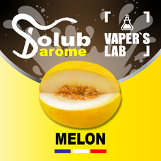 Ароматизаторы вкуса Solub Arome Melon Сочная дыня