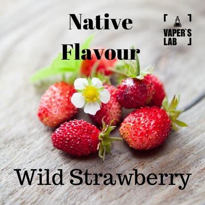 Фото жижи для вейпа native flavour wild strawberry 120 ml