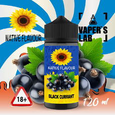  Native Flavour Black Currant 120