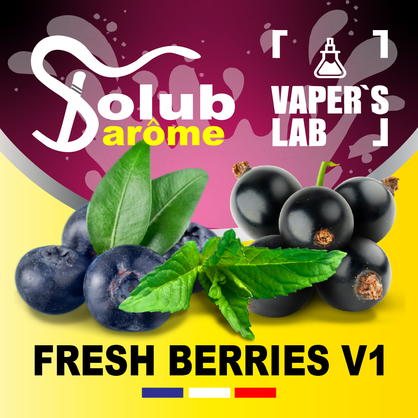 Фото, Відеоогляди на Найкращі ароматизатори для вейпа Solub Arome "Fresh Berries v1" (Чорниця смородина м'ята ментол) 