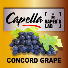  Capella Concord Grape Виноград Конкорд