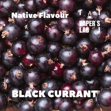  Native Flavour "Black Currant" 30мл