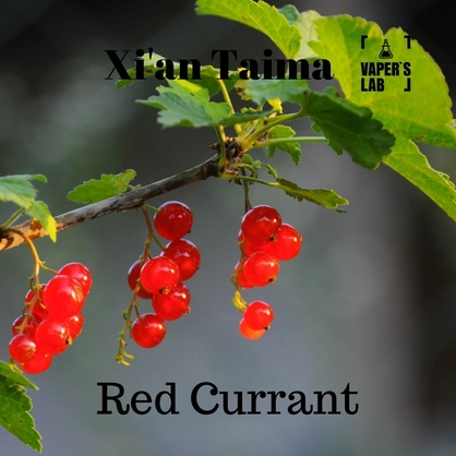 Фото, Видео, Аромки для вейпов Xi'an Taima "Red Currant" (Красная смородина) 
