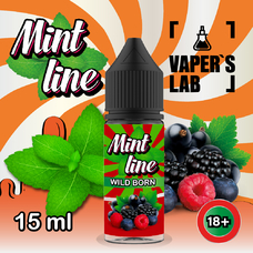 Жижи для пода Mint Line Salt 15 мл Wild born