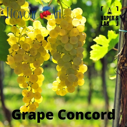 Фото, Відеоогляди на Ароматизатори FlavourArt Grape White Білий виноград